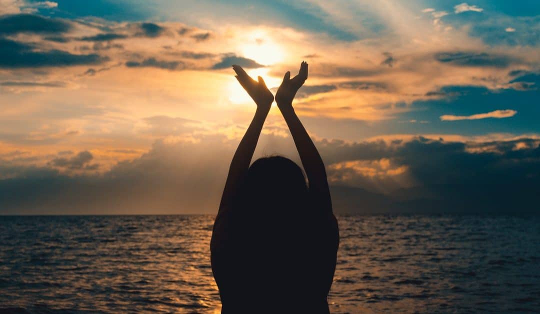 The Soul Purpose: Align, Embody, and Express Your Divinity